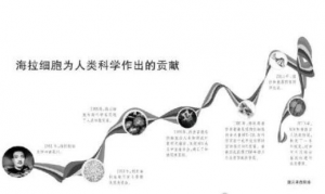 永生不死的海拉细胞，或将为人类长生不老不死圆梦(癌细胞)