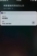 树新蜜蜂英语怎么说，跟着我一起念＂吹牛B＂(Tree New Bee)