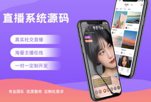 日产欧产美韩系列：揭秘缅甸神秘事件的真相